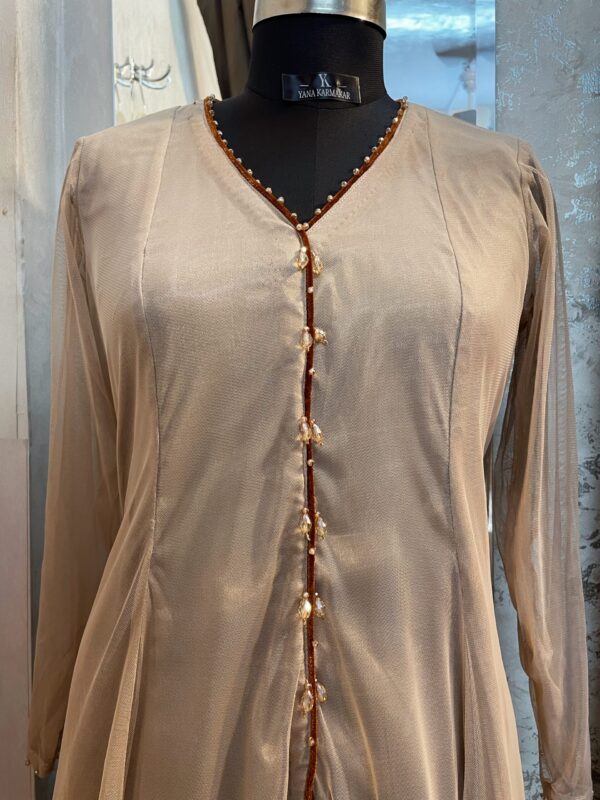 48C0EA51-E8D3-4F79-A575-A333F34823FF_L0_001-11_4_2024, 1_00_11 PM Beige net Kalidar Anarkali