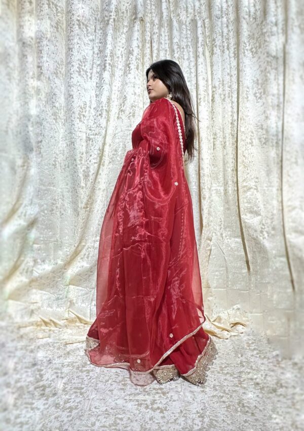 IMG_9336 Scarlet red Anarkali Gown