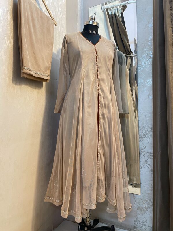 250CE827-6181-4737-8DDE-45C2A3C81E5A_L0_001-11_4_2024, 12_59_32 PM Beige net Kalidar Anarkali